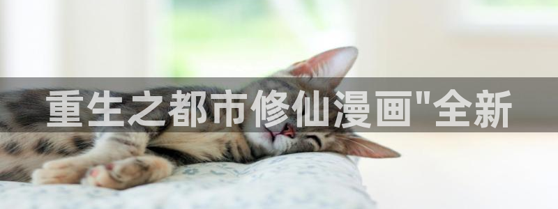 我独自升级第二季土豪漫画