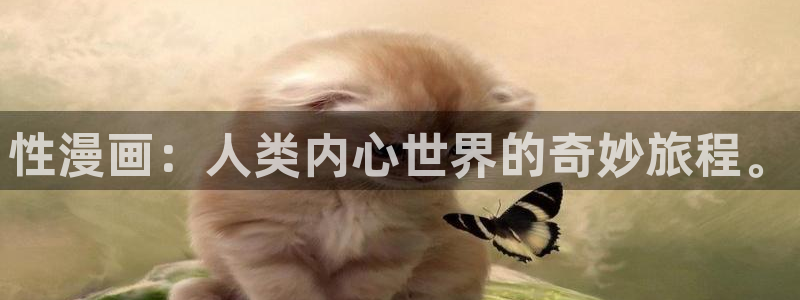 再次拥抱阳光土豪漫画免费