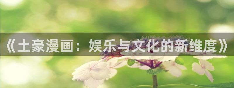 韩国漫画土豪漫画网
